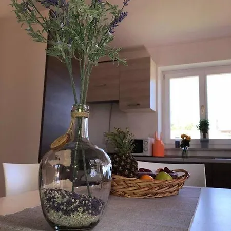 Sunny فيلة Kaštelir